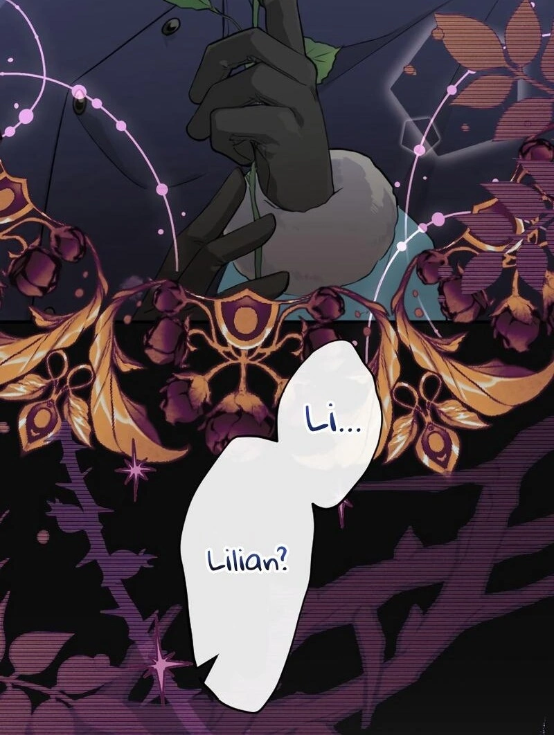 67008181 800 1062 162974